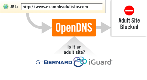 http://www.opendns.com/img/whatisdns_adult.gif